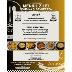 Meniul Zilei Felul I
